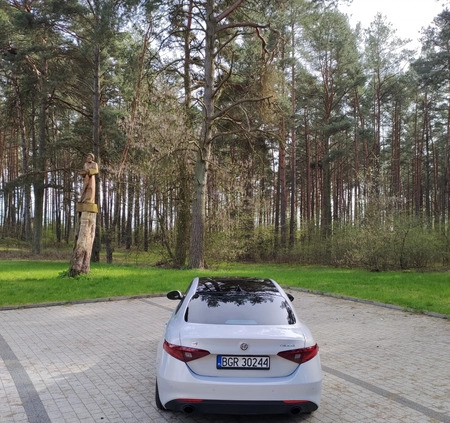 Alfa Romeo Giulia cena 132000 przebieg: 20000, rok produkcji 2022 z Ostrołęka małe 277